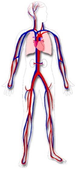 mainbody.jpg